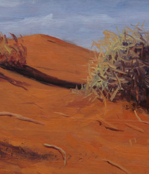 15. Spinifex Simpson Desert