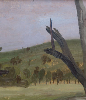 26. Heart-shaped Tree on a Hillside (Victoria Australia) SOLD