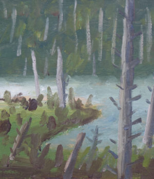 28. Morning study, Lake Belcher