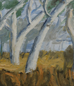 32. River Gums, Victoria