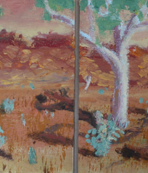 33. Salt Bush and Ghost Gums SOLD