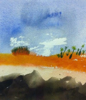 4. Sand Plants Cape Leveque WA SOLD