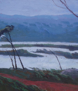 41. The Dirt Track, Tasmania SOLD