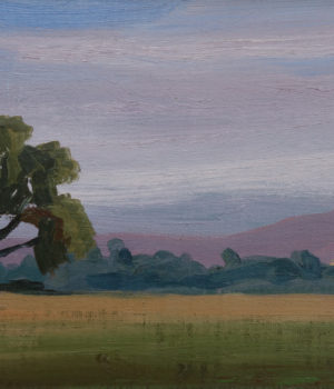 42. The Empty Paddock