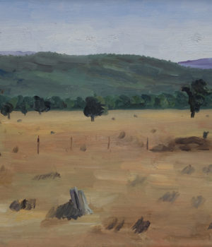 45. The Old Paddock SOLD