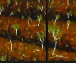 57. Snappy Gums in a Valley